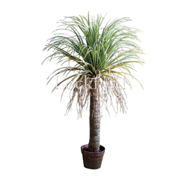 Lockford Artificial Agave Palm Tree - More Sizes