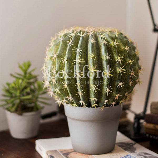 Lockford Artificial Ball Cactus Plant Decor