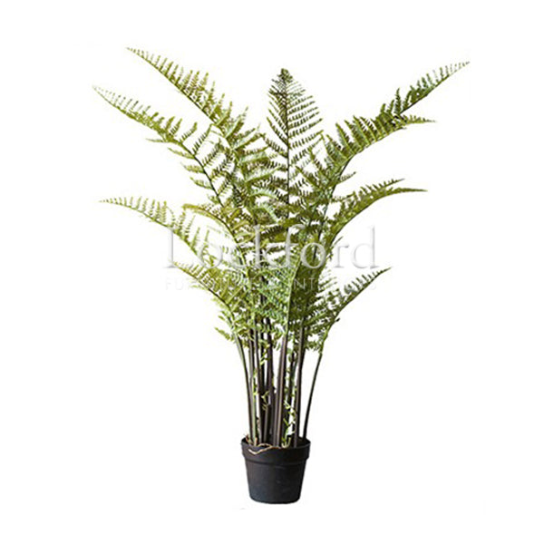 Lockford Artificial Fern Plant - More Sizes