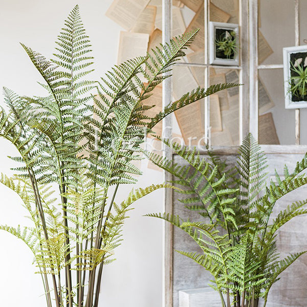 Lockford Artificial Fern Plant - More Sizes