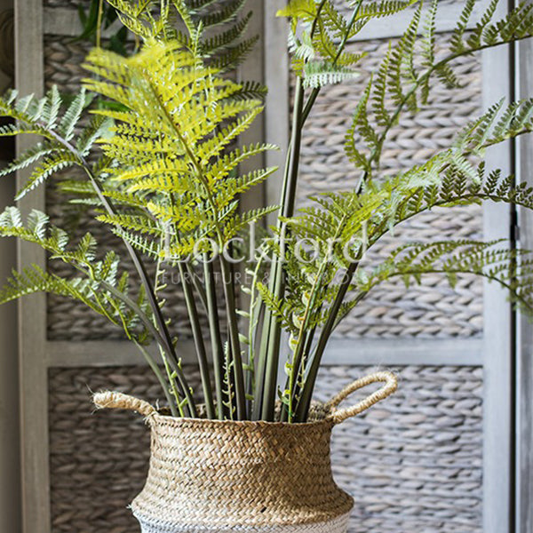 Lockford Artificial Fern Plant - More Sizes