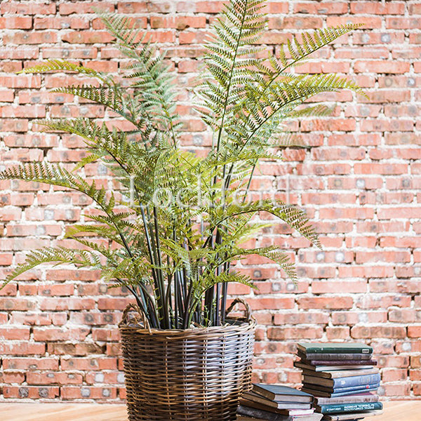 Lockford Artificial Fern Plant - More Sizes