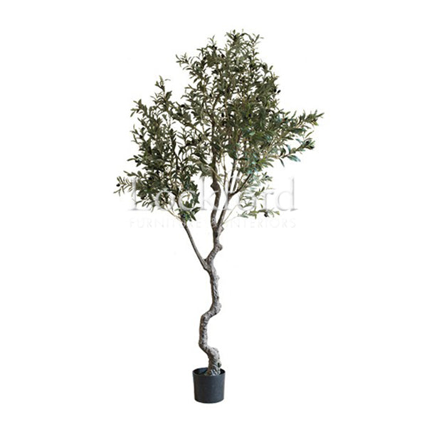 Lockford Artificial Olive Tree - More Sizes