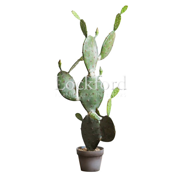 Lockford Artificia Cactus Plant Decor