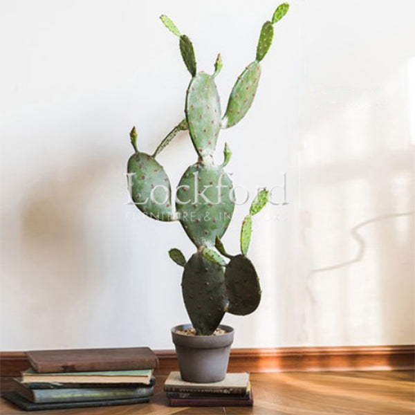 Lockford Artificia Cactus Plant Decor