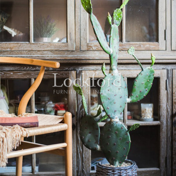 Lockford Artificia Cactus Plant Decor