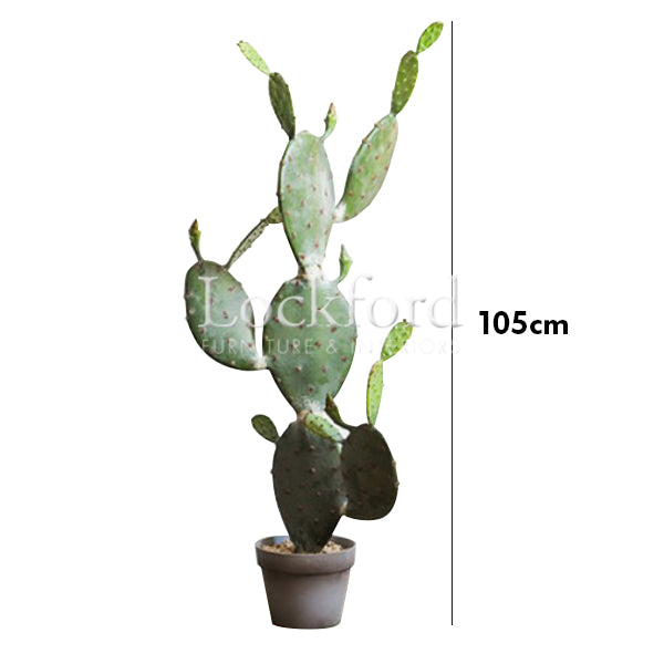 Lockford Artificia Cactus Plant Decor