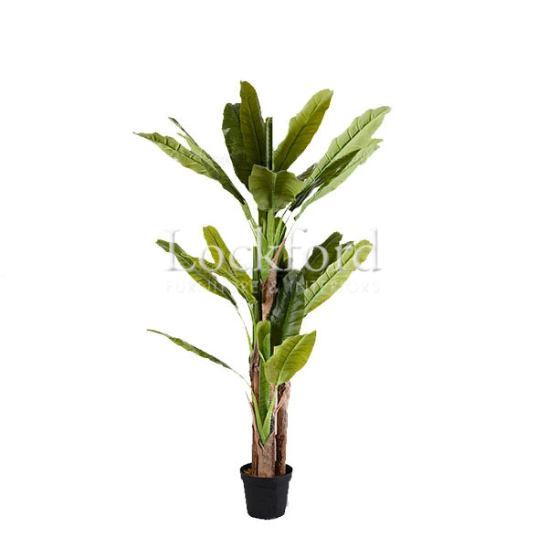 Lockford Indoor Artificial Plants - Japanese Banana