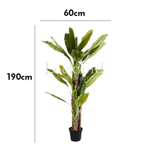 Lockford Indoor Artificial Plants - Japanese Banana