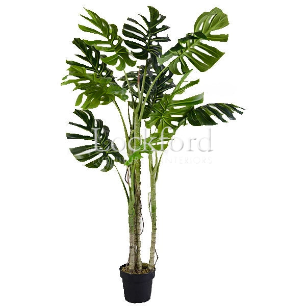 Lockford Indoor Artificial Plants - Monstera Swiss Cheese Plants