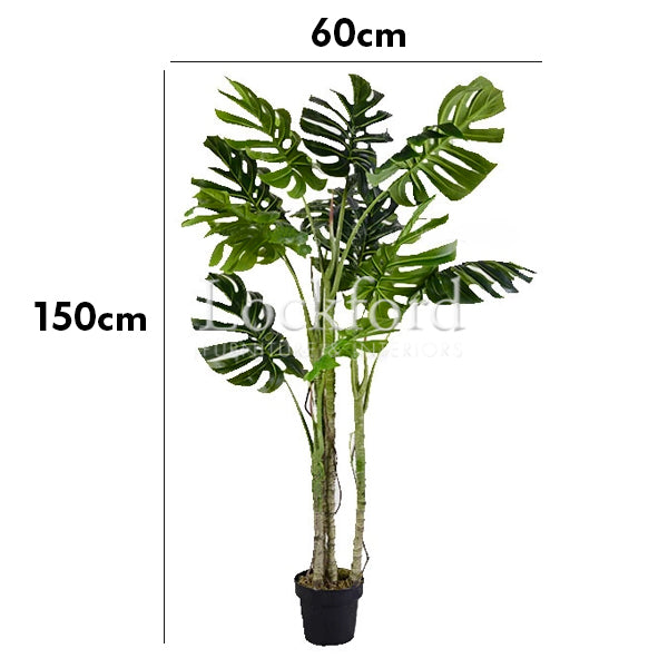 Lockford Indoor Artificial Plants - Monstera Swiss Cheese Plants